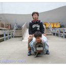 상우에너지 Daum카페