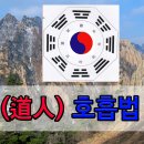 삼남매문어 이미지