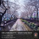 포돌이길 | 🌸 2025 진해 군항제 후기 | 로망스다리·경화역 당일치기 + 꿀팁