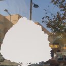 새롬동_새롬중학교(건너편) 이미지