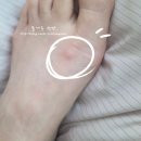 초보러너, 런린이가 아디다스 러닝화 만 신는 이유! 아디다스 에보슬(에보sl),에보슬art(에보slart...