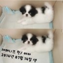 친친동물병원 이미지