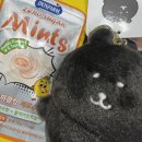 순천만 뜰 | 남부 탐방 그리고 내일로