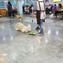 덕구 이미지
