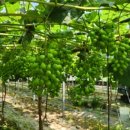 영재농장 이미지