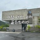 [가평] 가평 감성 대형 숙소 "골든트리" 후기🌳
