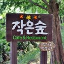 작은숲 이미지