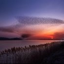 금강환경개발(주)