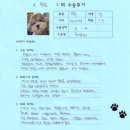 동당 | [#811]동당(양측 슬개골탈구 G2,G3)의 수술후기