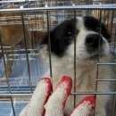 해맑은농장 이미지