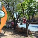 대갈놀이공원 이미지