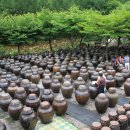 청록농장 이미지