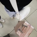 아이띵소 퍼피 숄더 크로스 패딩백 아이스크림, 퐁실퐁실 귀여움! (면세점 가방 추천)