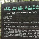 화순11경 어반스케치 | 제주 곶자왈 도립공원과 하나로마트 흑돼지족발 &amp; 하나로마트 광어회 추천