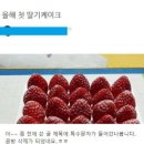 딸기케이크 레전드 사건 이미지