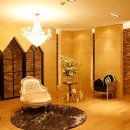 강남-231 이미지