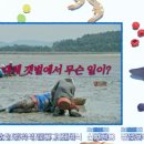 가룡농장 네이버블로그