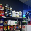 라인업 짐 휘트니스 이미지