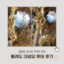 톨레도 여행 대성당 투어 후기/티켓 가격, 입장료, 오디오 가이드