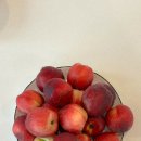 아일렛풀빌라 이미지