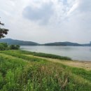 기흥호수공원(생태) 이미지