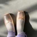 숲마사지