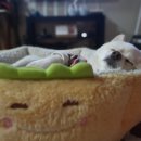 울산전기조명전업사