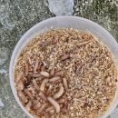 양오낚시터 | 강화 빙어축제 :: 양오낚시터(주차, 입장료, 이용요금, 꿀팁 등)