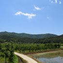 정수사(淨水寺), 대곡사(大谷寺), 적조암 / 경북 의성군 이미지