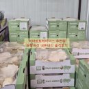하얀버섯 | 이마트트레이더스 추천템 무농약 설원버섯 솔직후기