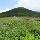 곰배령 PC 이미지