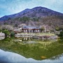 🌊 진도 여행 가이드 – 신비와 전통이 살아 숨 쉬는 남도 끝자락