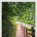 서동요명품트레킹09월28일완도신지도 이미지