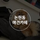 멍돌핀 이미지