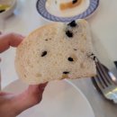 만년남로 | [대전 양식집/만년동맛집, 만년동브런치] 만보우노 후기