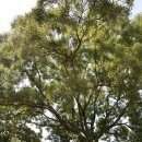 계성경로당 이미지