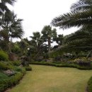 야자수정원 이미지