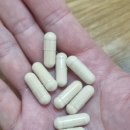 나우커피만성점 | [내돈내산리뷰] 나우푸드 실리마린 밀크시슬 300mg vs 일반 간 영양제, 두 달간 복용하며 따져본 가성비...