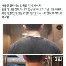 와 필라테스효과무ㅏ야 이미지