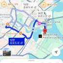 [아이들과 싱가포르 4박5일 자유여행] 마리나 베이 샌즈 스카이파크, 리버 원더스, 동물원 나이트 사파리
