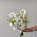 다이소금호지구점 | 2. 반지맞추기, 스튜디오 촬영 준비