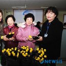 철로변녹지대 이미지