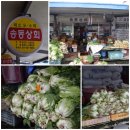 송동상회