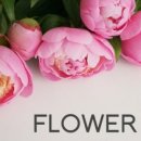 비누꽃 바구니 제작 이미지