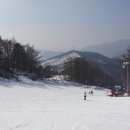 베어스 타운 이미지