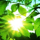 박신혜유외과의원 이미지