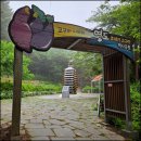 봉래산 (영도 조내기 고구마 역사기념관 원점회귀)