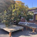 명호관점 이미지