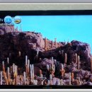 소금이야기민박 이미지