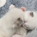 더리터남양주 이미지